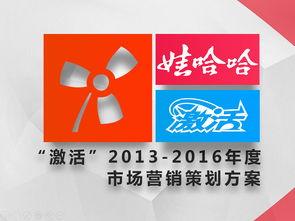 激活品牌新動(dòng)能 娃哈哈2013-2016年度市場(chǎng)營銷戰(zhàn)略規(guī)劃