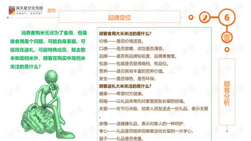 大米姐品牌營銷策劃案商業(yè)計(jì)劃書