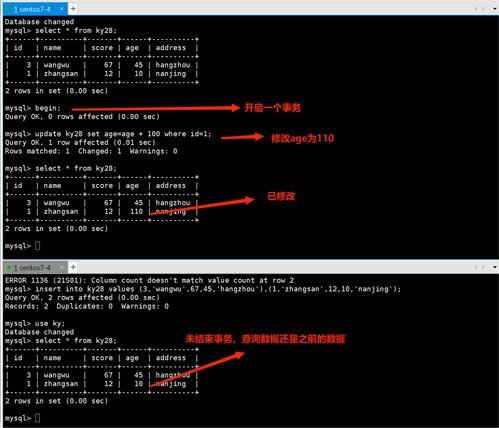 MySQL數據庫事務與存儲引擎 數據處理與存儲的基石